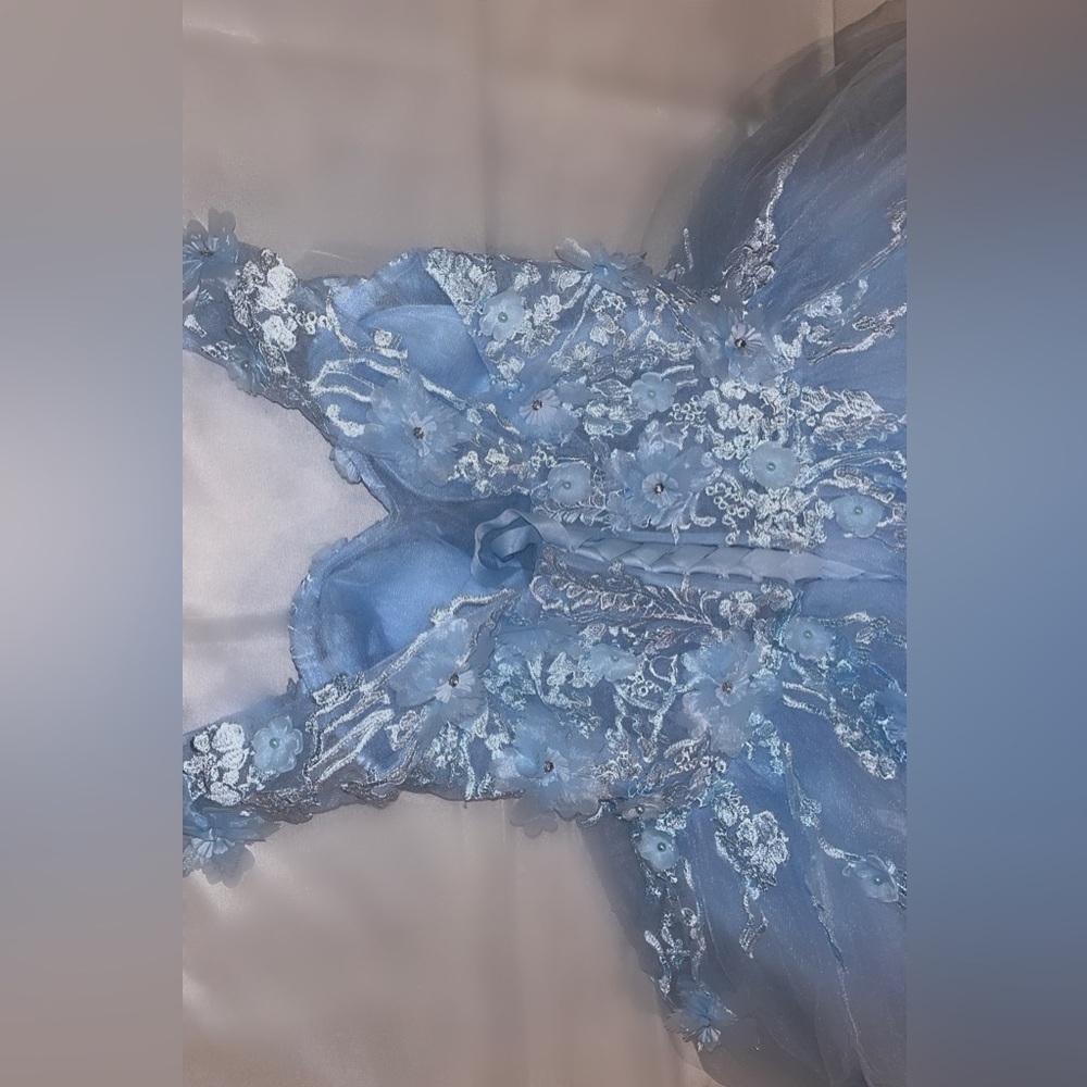 Cinderella Themed Size 14 Prom and Special Occasion Dress - Picture 3 of 7
